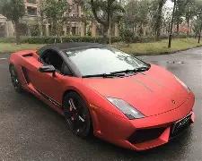 维蒂尼亚渴,望国家队发,挥最佳状态,开云体育,开云体育官网,开云体育app,开云体育app下载